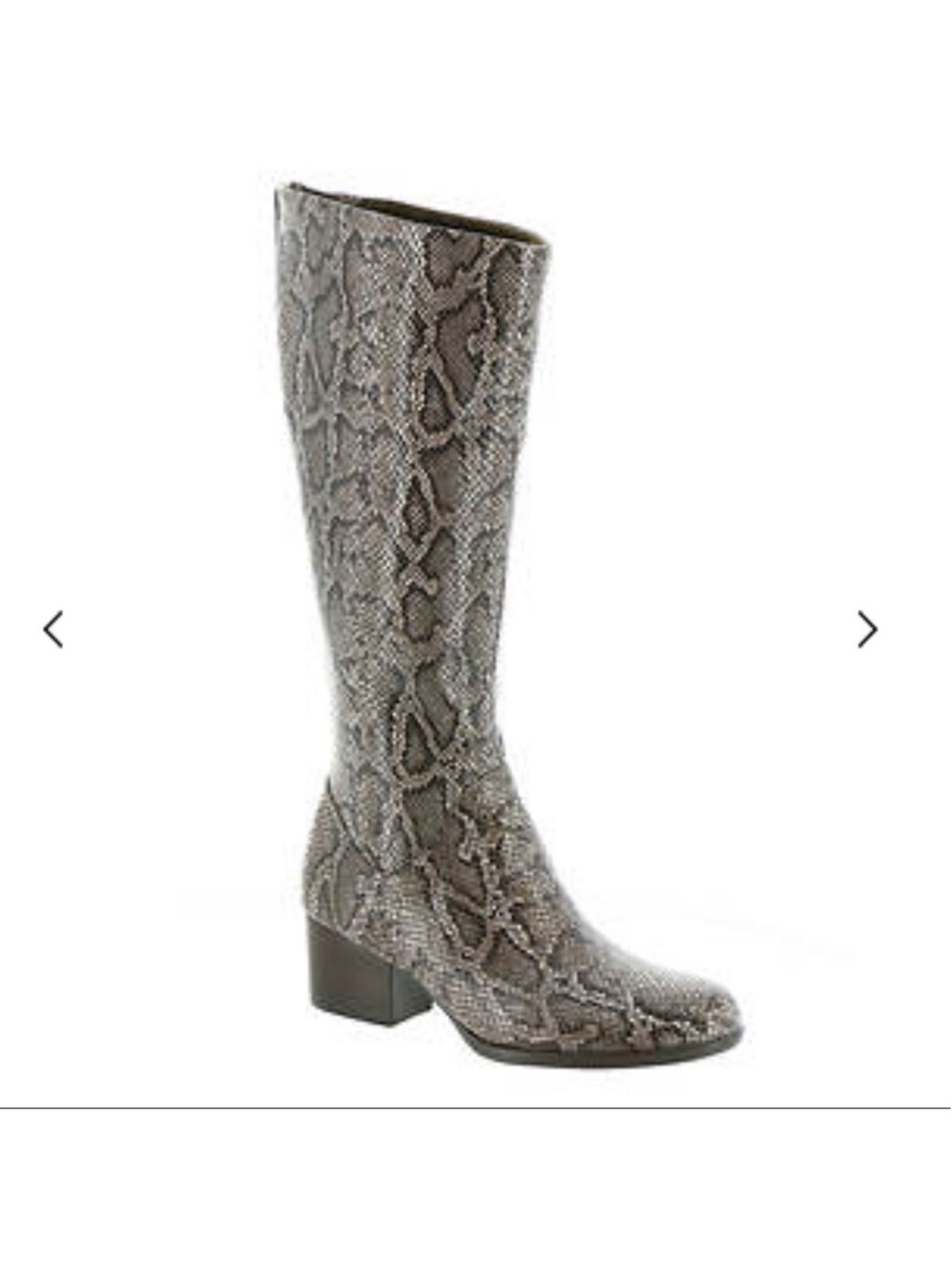 Born “Adriana” Python tall boot - Picture 2 of 7